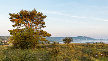 Картинка природа пейзажи простор