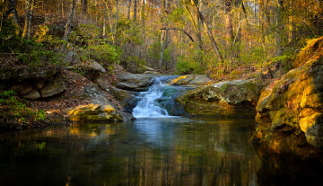 Картинка природа реки озера река лес