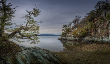 Картинка природа реки озера река лес