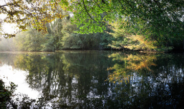 Картинка природа реки озера река лес