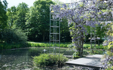 Картинка цветы цветущие+деревья+ +кустарники водоем