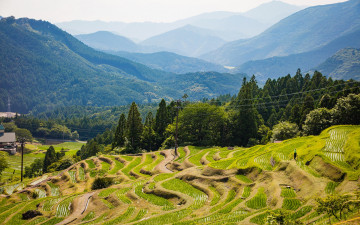 Картинка природа горы солнце kiwa kumano mie плантации деревья Япония лес лето