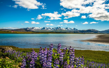 Картинка природа реки озера цветы солнечно домики берег горы