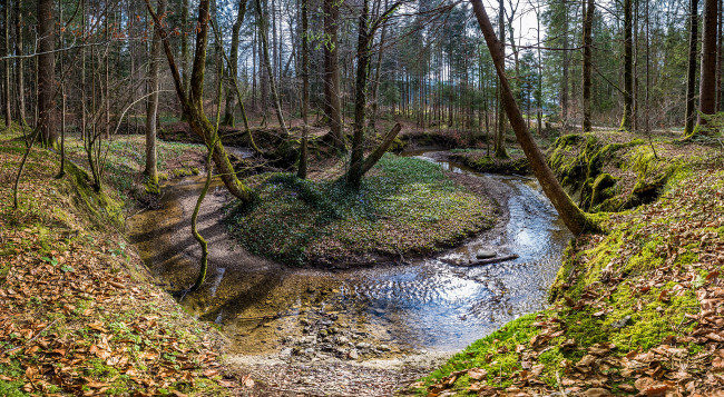 Обои картинки фото природа, реки, озера, река, лес