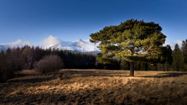 Обои картинки фото природа, пейзажи, простор