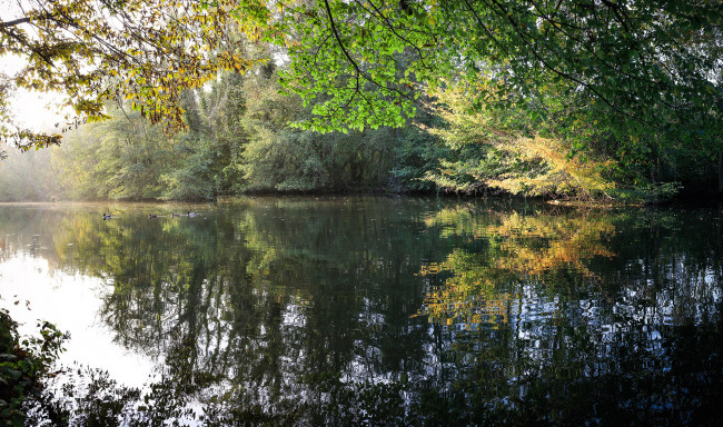 Обои картинки фото природа, реки, озера, река, лес