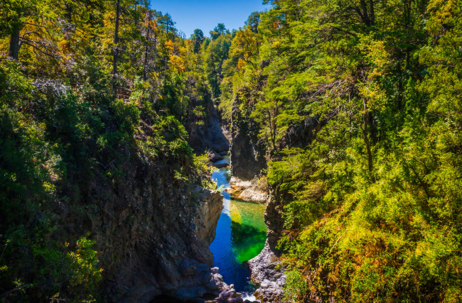 Обои картинки фото природа, реки, озера, река, лес