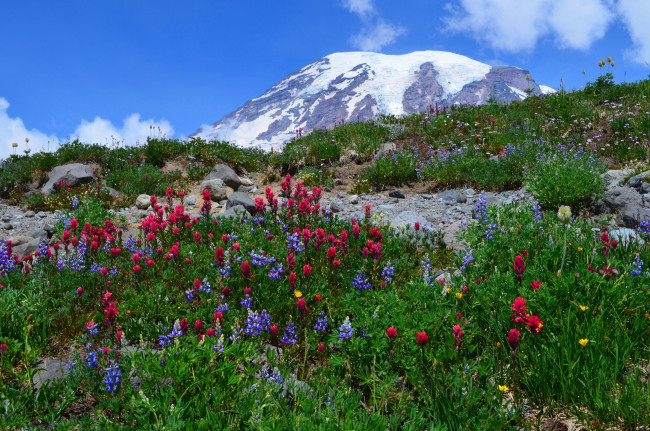 Обои картинки фото природа, горы, простор