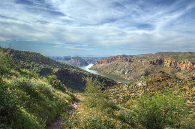 Обои картинки фото природа, реки, озера, река, лес