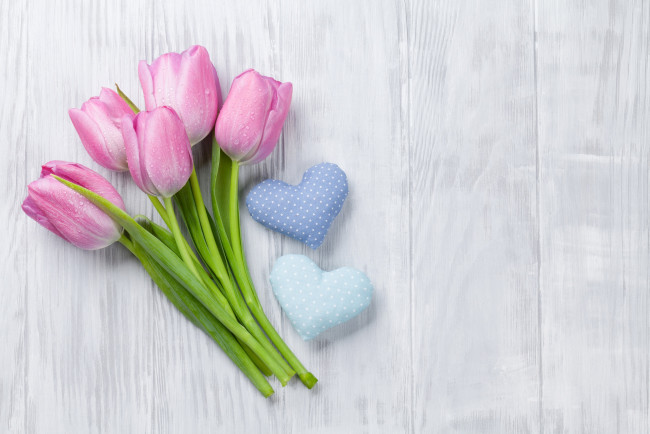 Обои картинки фото цветы, тюльпаны, цветение, разноцветные, лепестки, много