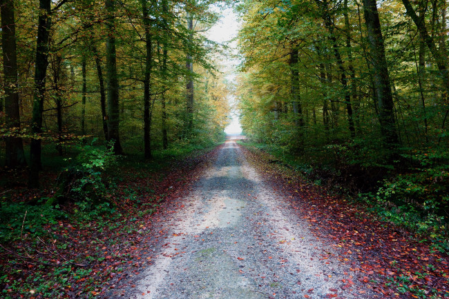 Обои картинки фото природа, дороги, тракт