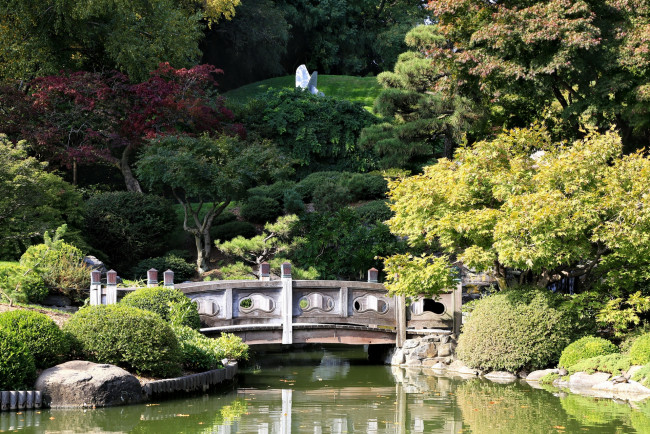 Обои картинки фото природа, парк, водоем, деревья, камни