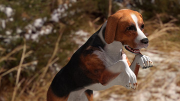 Картинка 3д+графика животные+ animals собака фон взгляд