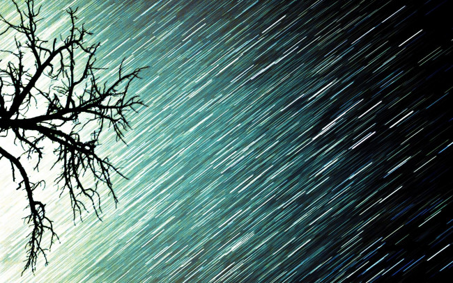 Обои картинки фото разное, компьютерный дизайн, свет, дождь, ветки