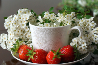 Картинка еда клубника +земляника