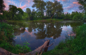 Картинка природа реки озера пруд