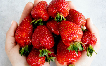 Картинка еда клубника +земляника