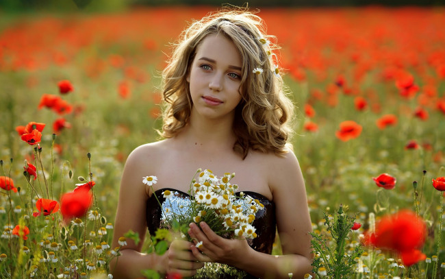 Обои картинки фото девушки, - блондинки,  светловолосые, луг, маки, букетик, ромашки