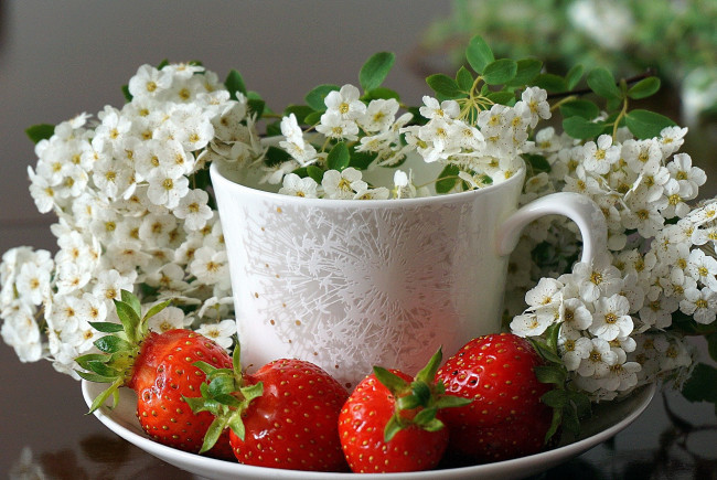 Обои картинки фото еда, клубника,  земляника