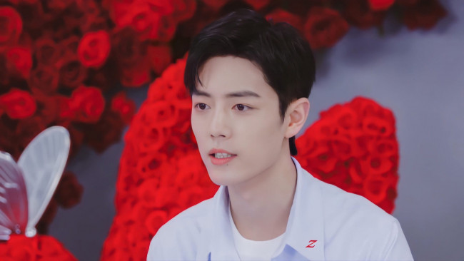 Обои картинки фото мужчины, xiao zhan, актер, розы, бабочка, презентация