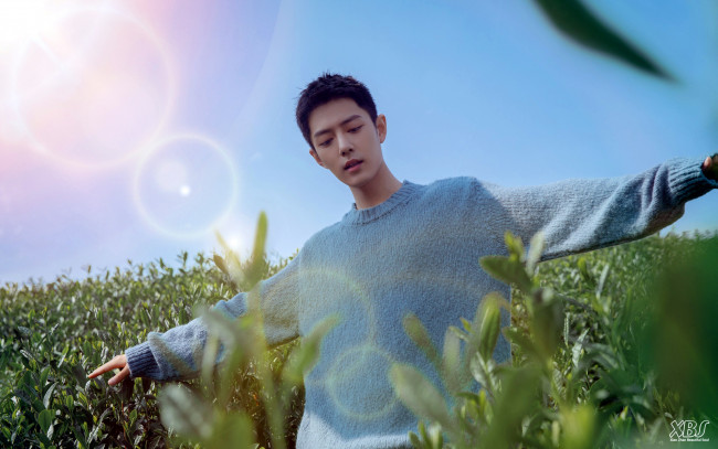 Обои картинки фото мужчины, xiao zhan, актер, свитер, поле