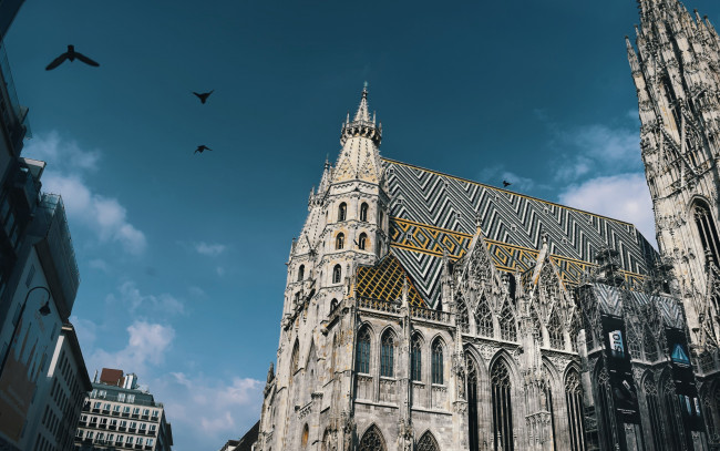 Обои картинки фото города, вена , австрия, собор, святого, стефана, закат, городской, вид, достопримечательности, вена, европа