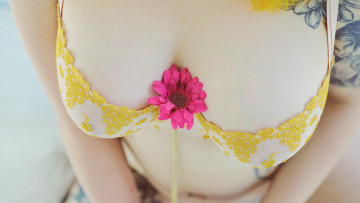 Картинка девушки -+женские+прелести eveowl