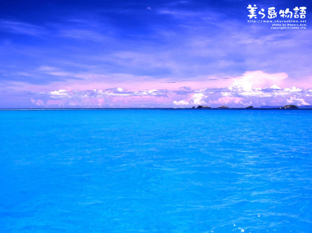 Обои картинки фото 