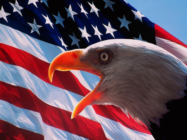 Обои картинки фото разное