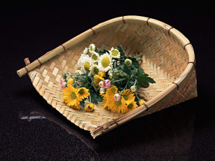 Картинка цветы хризантемы