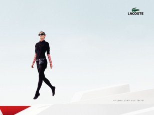 Картинка бренды lacoste
