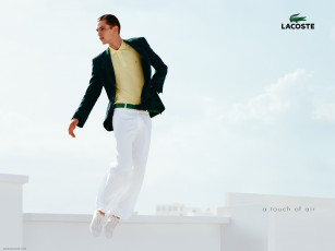 Картинка бренды lacoste