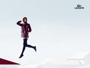 Картинка бренды lacoste