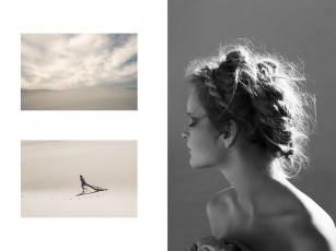 Картинка sisley women бренды