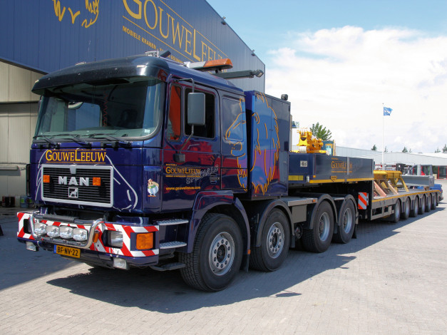 Обои картинки фото автомобили, man