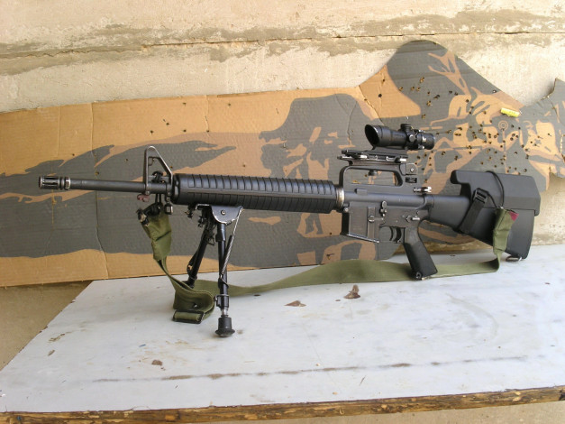 Обои картинки фото m16, оружие, винтовки, прицеломприцелы