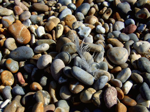 обоя природа, камни, минералы, перо