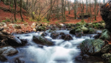 Картинка природа реки озера дом камн лес река