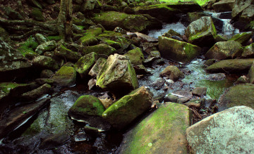 Картинка природа реки озера река камни