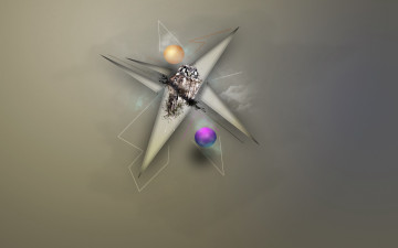 Картинка 3д графика animals животные сова