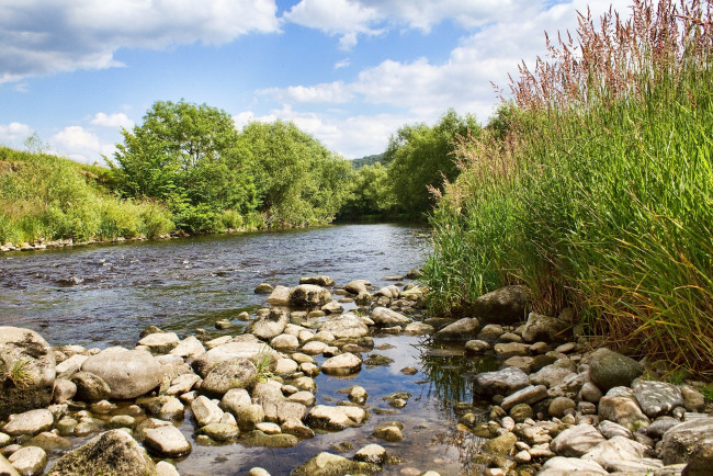 Обои картинки фото природа, реки, озера, камни, вода, деревья, течение