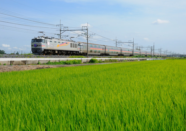 Обои картинки фото техника, поезда, поезд