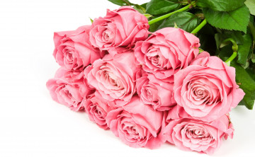 Картинка цветы розы бутоны