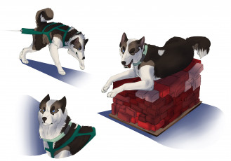 Картинка рисованные животные собаки