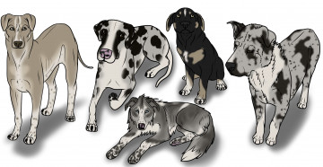 Картинка рисованные животные собаки