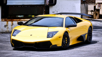 Картинка lamborghini murcielago автомобили спортивные класс-люкс италия automobili holding s p a лепестки макро