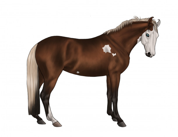 Обои картинки фото рисованные, животные, лошади, лошадь