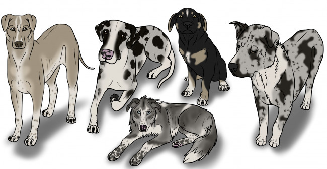 Обои картинки фото рисованные, животные, собаки