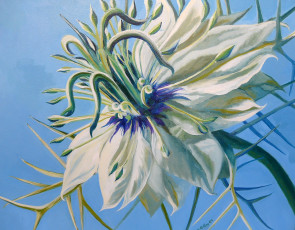 Картинка рисованные цветы лепестки