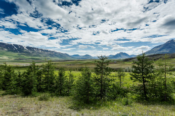 Картинка природа пейзажи ели равнина горы